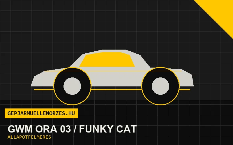 GWM Ora 03 / Funky Cat helyszíni állapotfelmérés és átvizsgálás