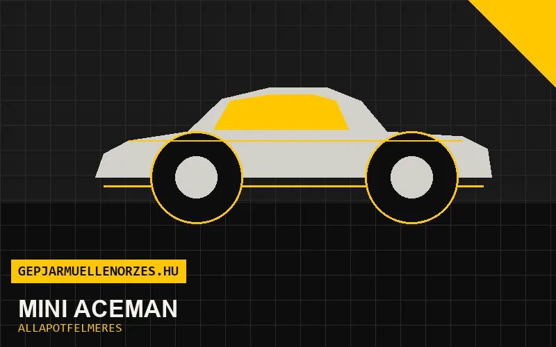 Mini Aceman helyszíni állapotfelmérés és átvizsgálás